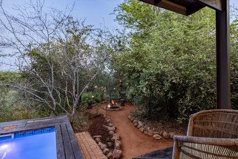 Lion's Den | Wild Heart Safari Lodge
