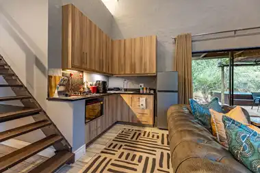 Zesty Zebra | Wild Heart Safari Lodge