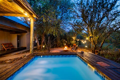 Zesty Zebra | Wild Heart Safari Lodge