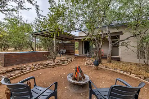 Zesty Zebra | Wild Heart Safari Lodge